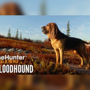 theHunter: Call of the Wild - Bloodhound DLC EU Steam Altergift