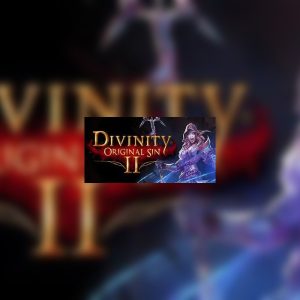 Divinity: Original Sin 2 - Divine Ascension DLC EU Steam Altergift
