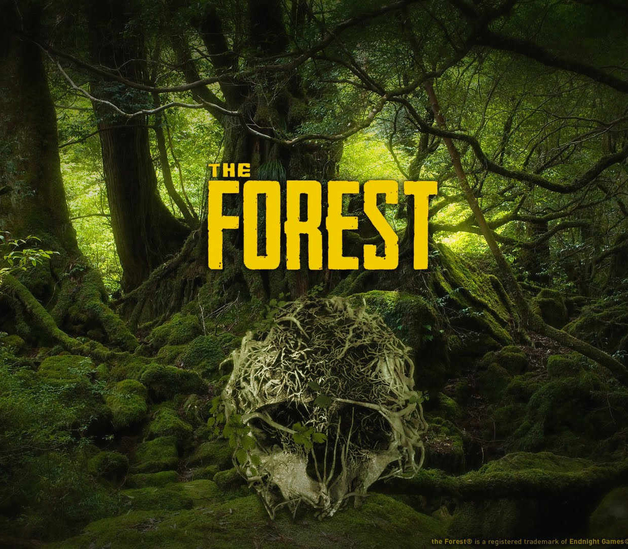 The Forest EU PC Steam CD Key